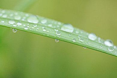 大明武侠晋谒！刀剑动作游戏《听风者也》将于9月23日发售